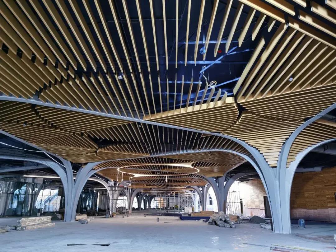 1597629668663492.jpg 1.jpg