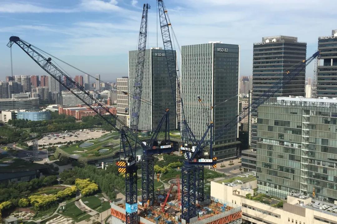 1598258670105410.jpg 6.jpg